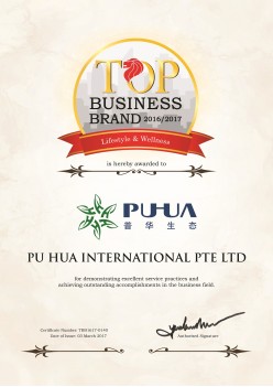 Top Business Brand